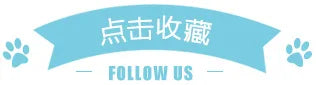Women's Satin Camisole Dress Party Travel Dress Vestido Playa Mujer Sexy Dresses Vestido Mujer